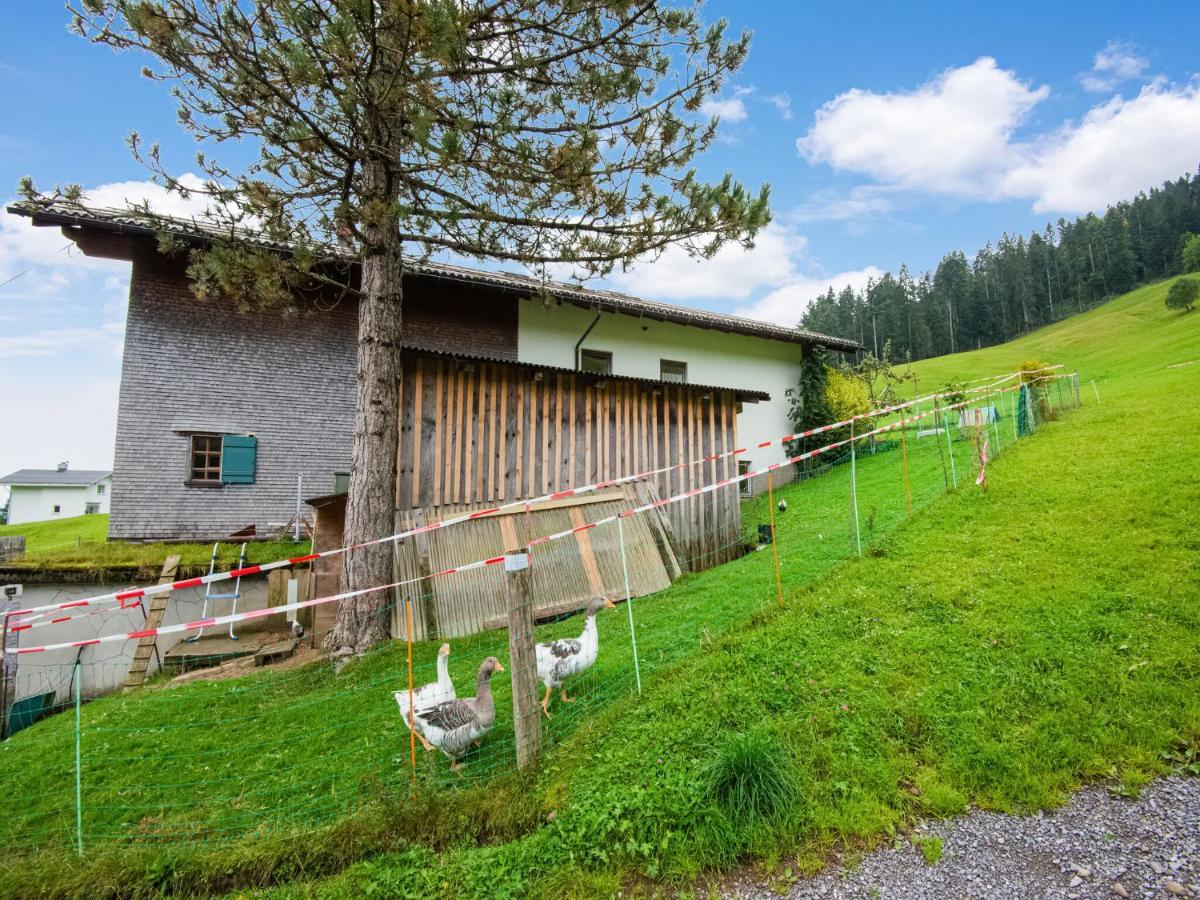 Vintage In Vorarlberg Near Area *